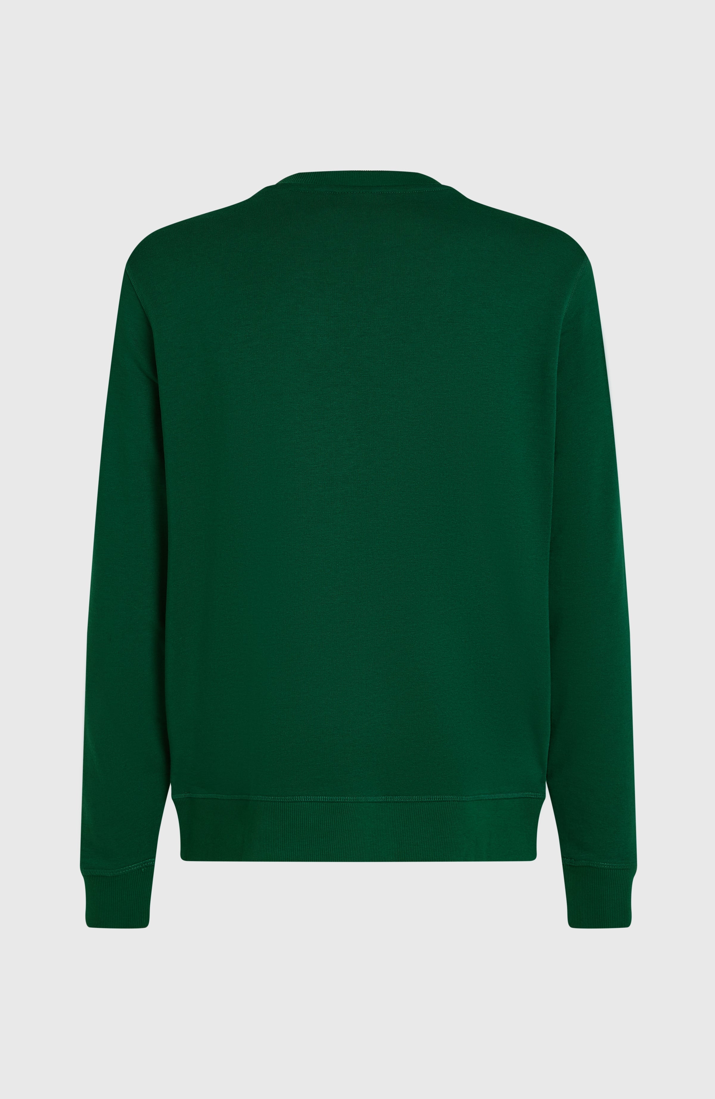 Small Logo Crew Sweatshirt Men - Emerald Envy