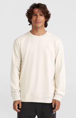 Small Logo Crew Sweatshirt Men - Atmosphere