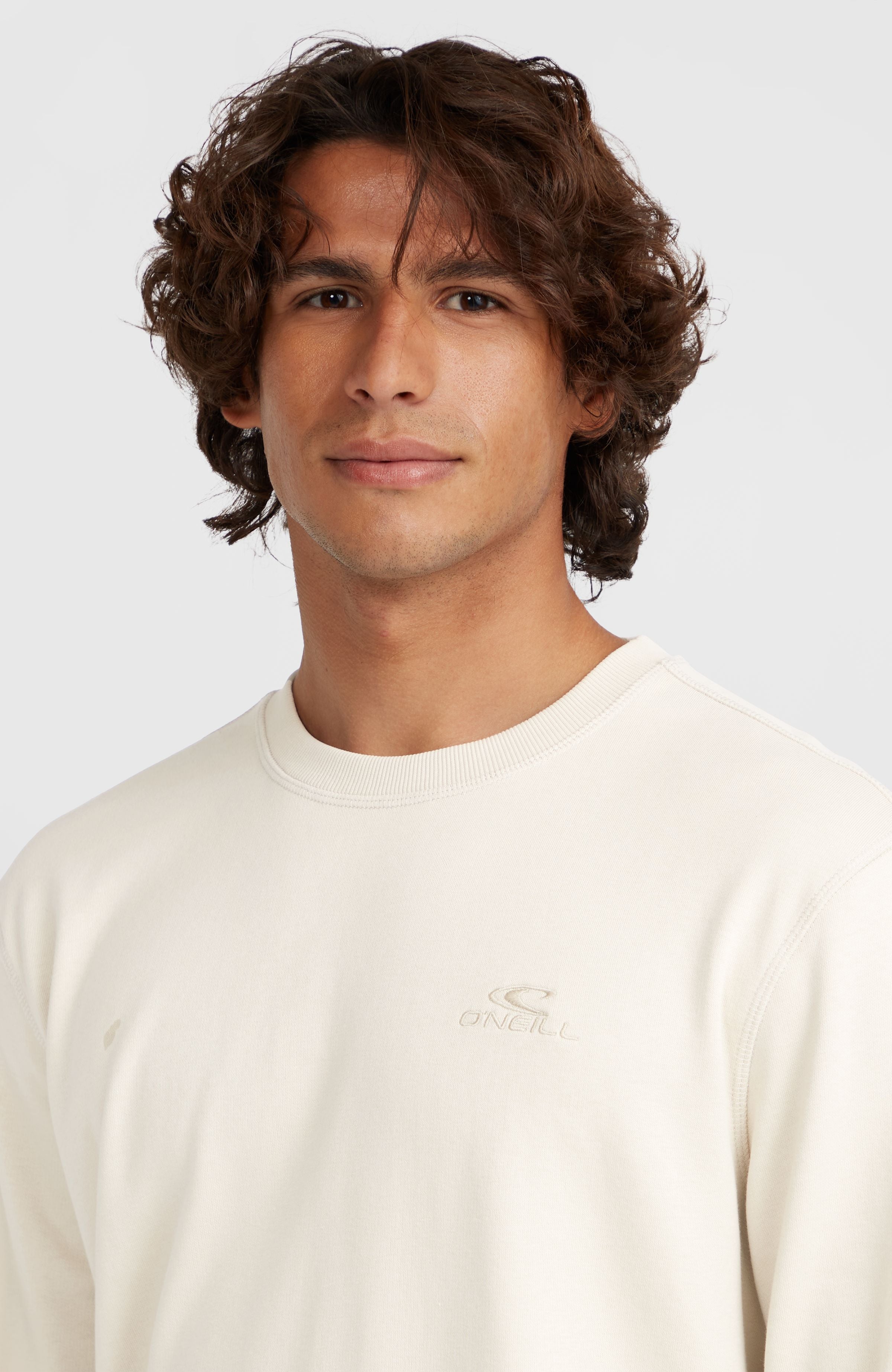 Small Logo Crew Sweatshirt Men - Atmosphere