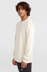 Small Logo Crew Sweatshirt Men - Atmosphere