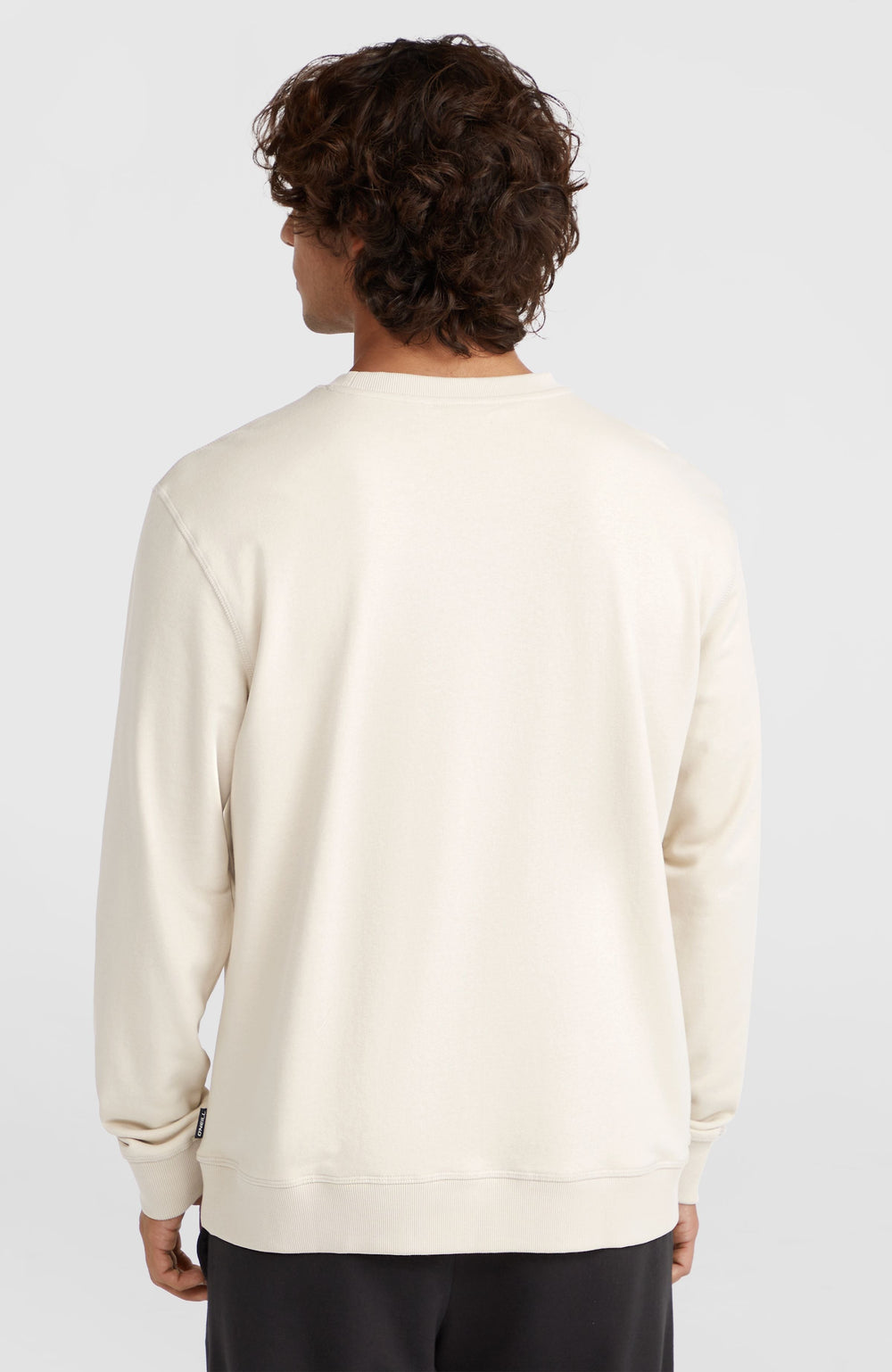 Small Logo Crew Sweatshirt Men - Atmosphere