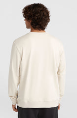 Small Logo Crew Sweatshirt Men - Atmosphere