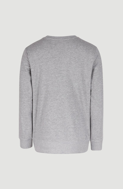 O'Neill Logo Crew Sweatshirt Men - Silver Melee
