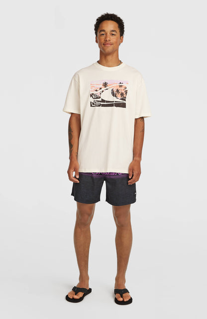 O’Neill Gradient T-Shirt Men - Snow White