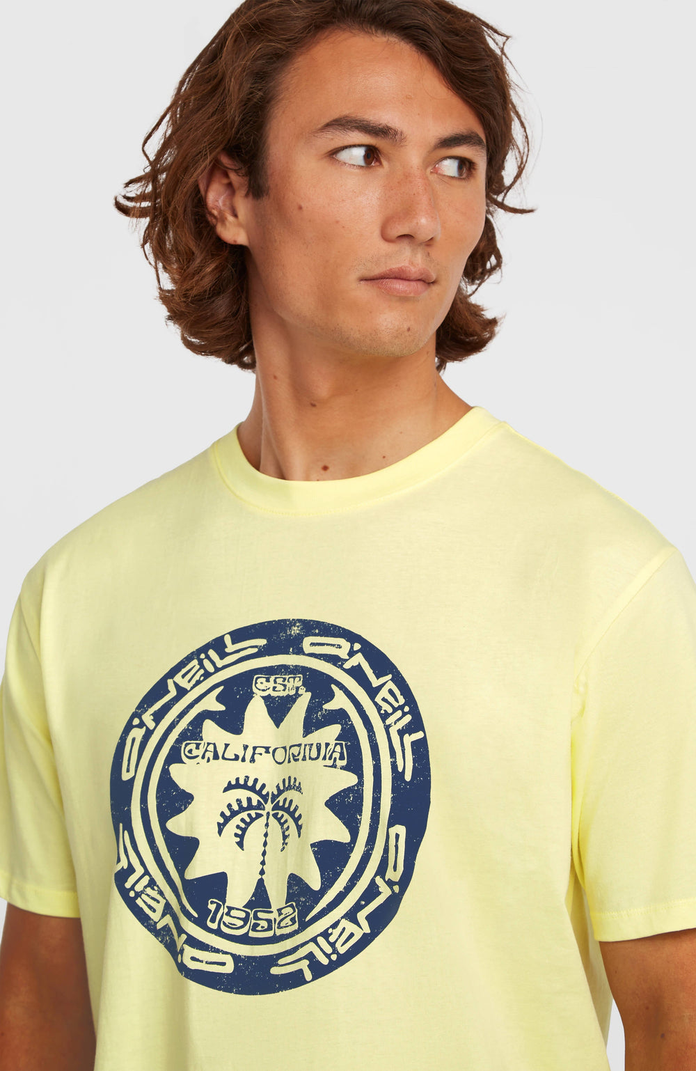 O'Neill Must-Have Graphic T-Shirt Men - Rainforest Dew
