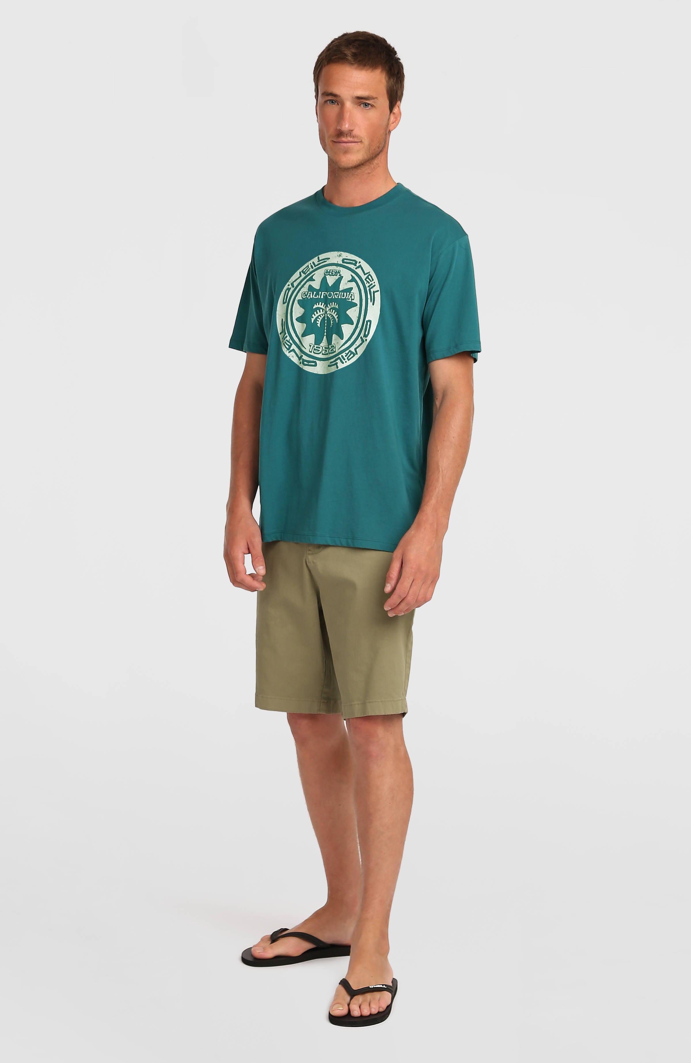 O'Neill Must-Have Graphic T-Shirt Men - Botanical Heat