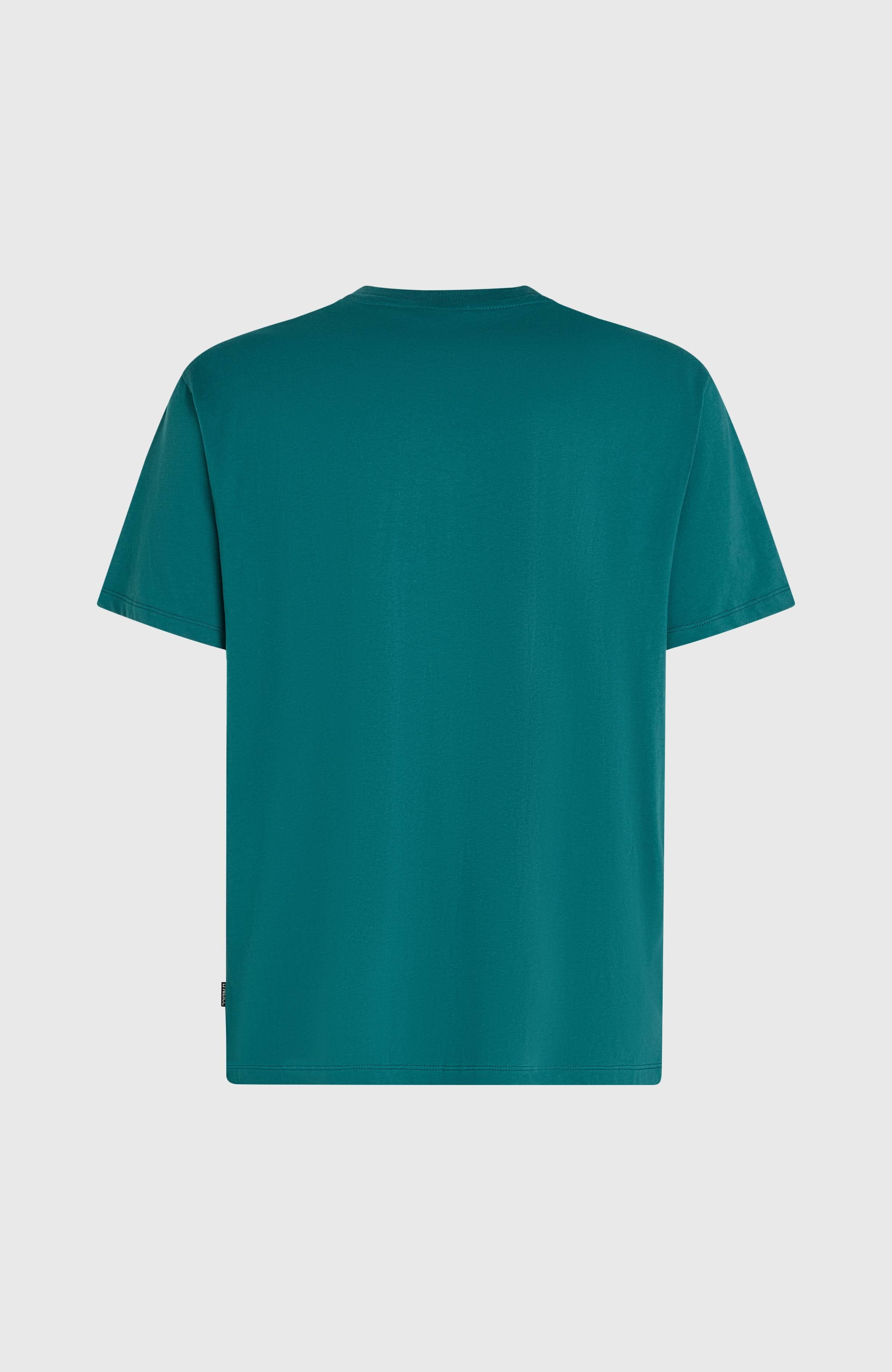 O'Neill Must-Have Graphic T-Shirt Men - Botanical Heat