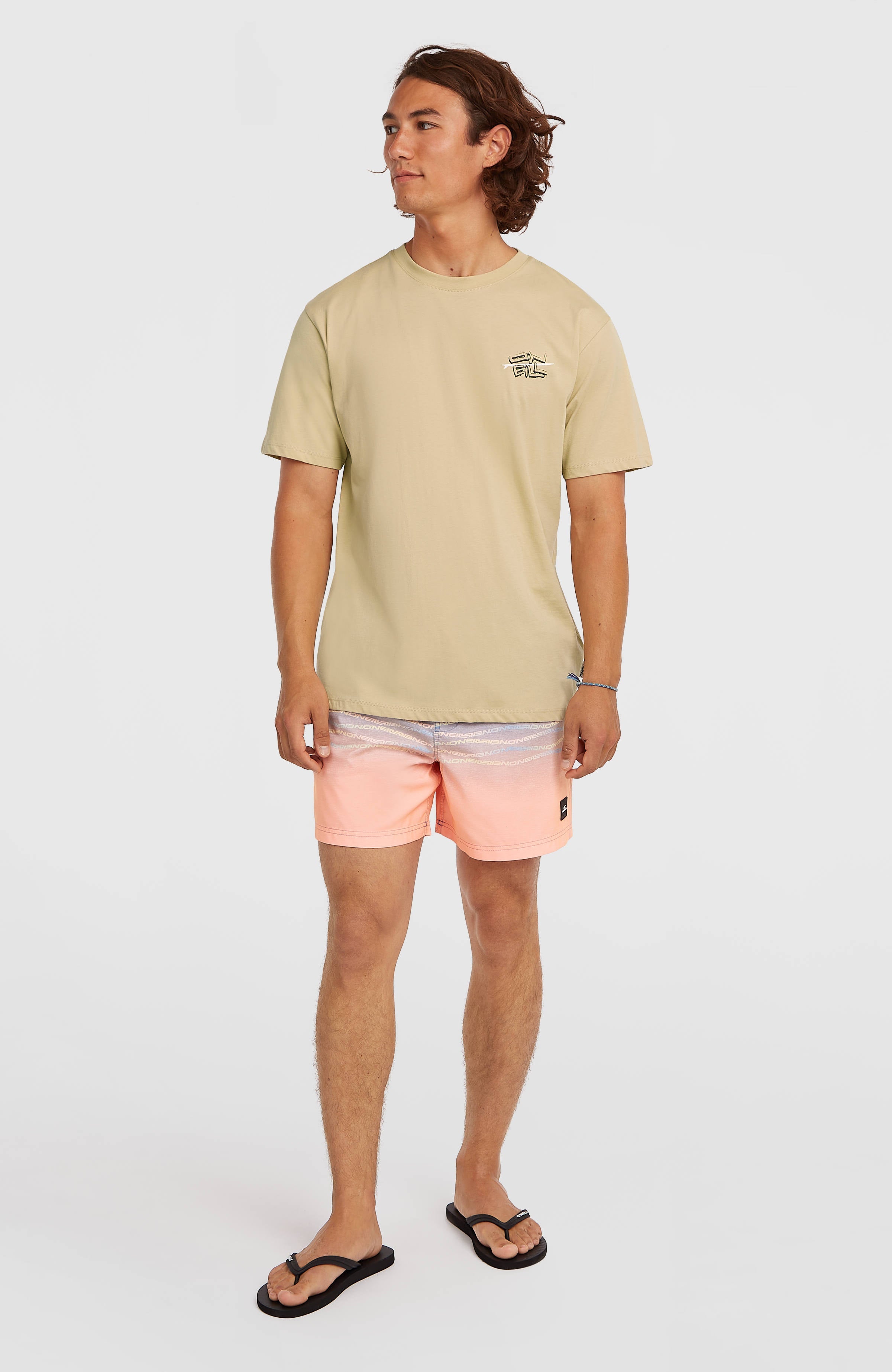 O’Neill Retro Back Print T-Shirt Men - Cocoa Sand