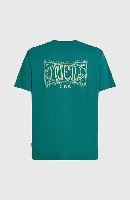 Box Logo T-Shirt Men - Botanical Heat