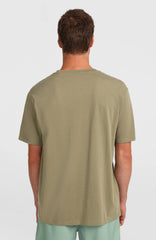 O’Neill Flower Stripe T-Shirt Men - Avery Fern