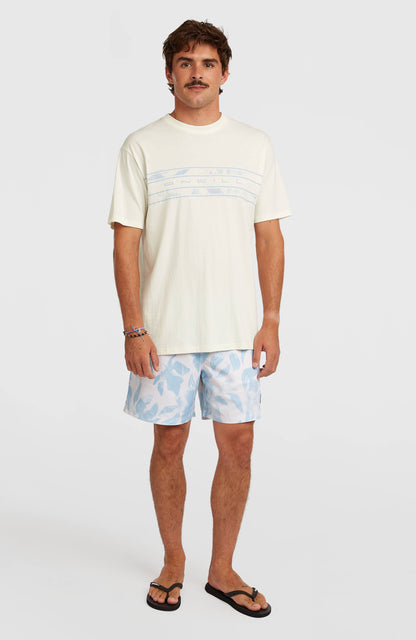 O’Neill Flower Stripe T-Shirt Men - Snow White