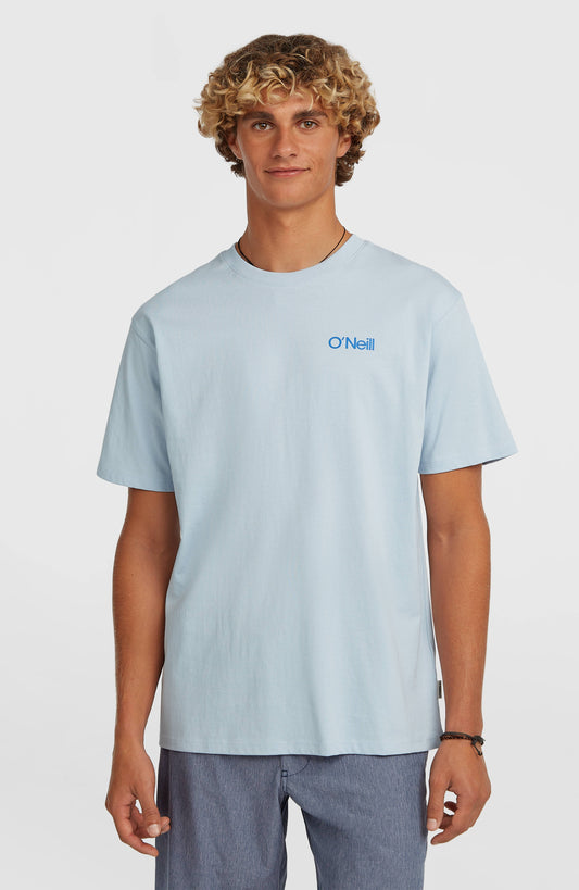 Polygiene Cotton Graphic T-Shirt Men - Spindle