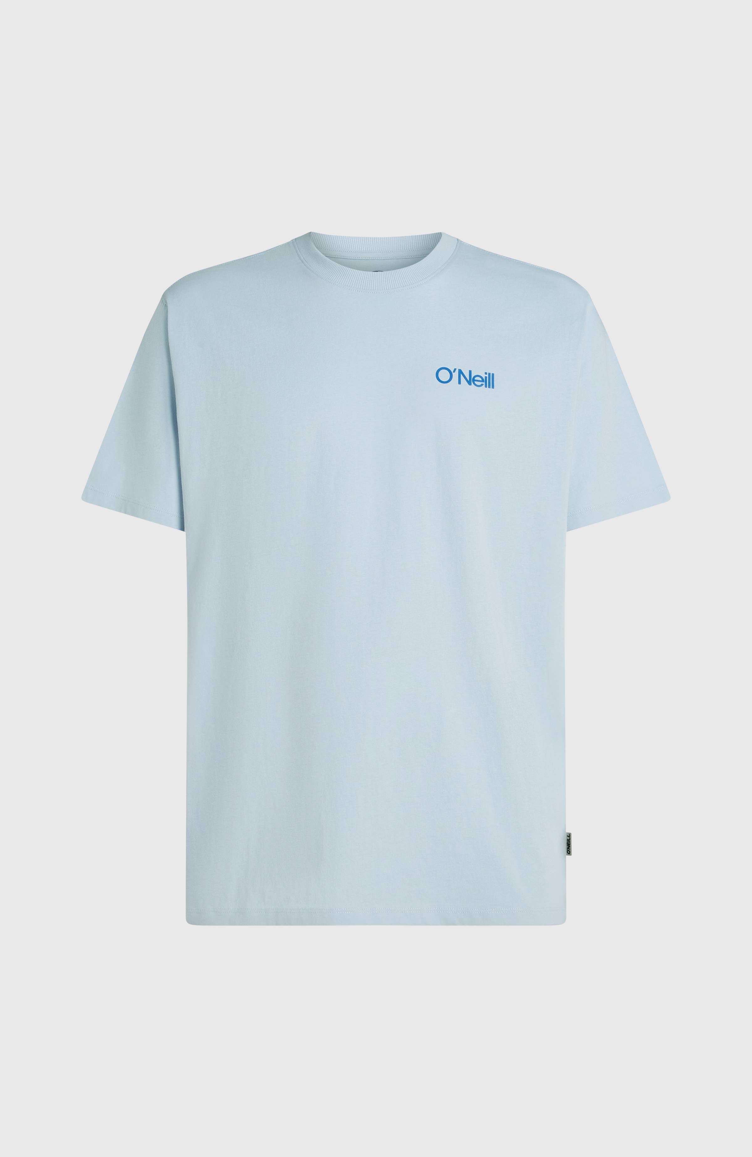 Polygiene Cotton Graphic T-Shirt Men - Spindle