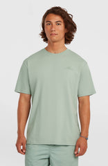 O'Neill Small Logo T-Shirt Men - Marble Arch