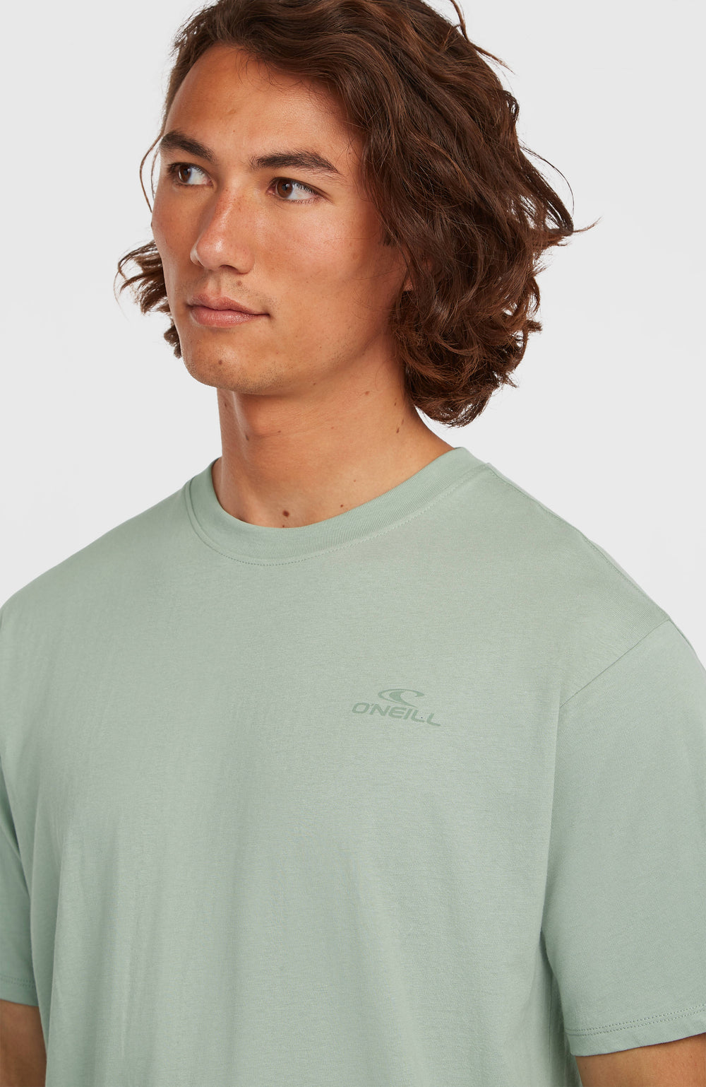 O'Neill Small Logo T-Shirt Men - Marble Arch