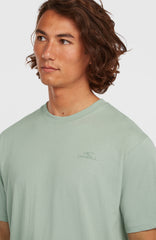 O'Neill Small Logo T-Shirt Men - Marble Arch