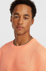 O'Neill Small Logo T-Shirt Men - Funky Peach