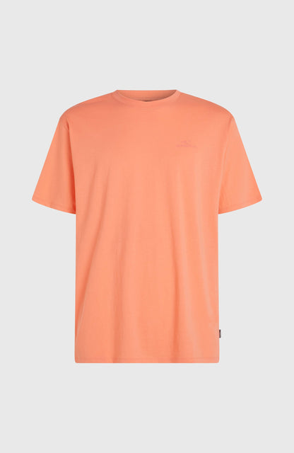 O'Neill Small Logo T-Shirt Men - Funky Peach