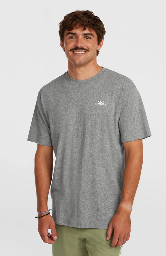 O'Neill Small Logo T-Shirt Men - Silver Melee