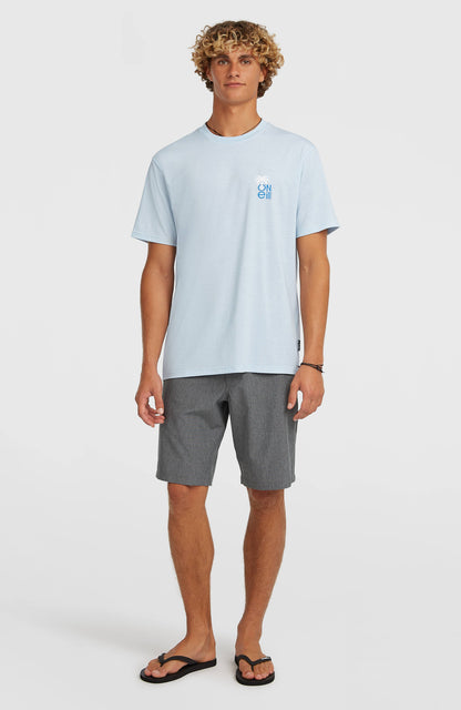O'Neill Hybrid Polygiene Graphic T-Shirt Men - Spindle