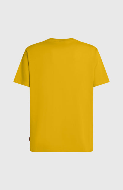 Original Cali T-Shirt Men - Angel Fern