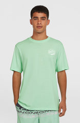 Box Logo T-Shirt Men - Mildrew Mint