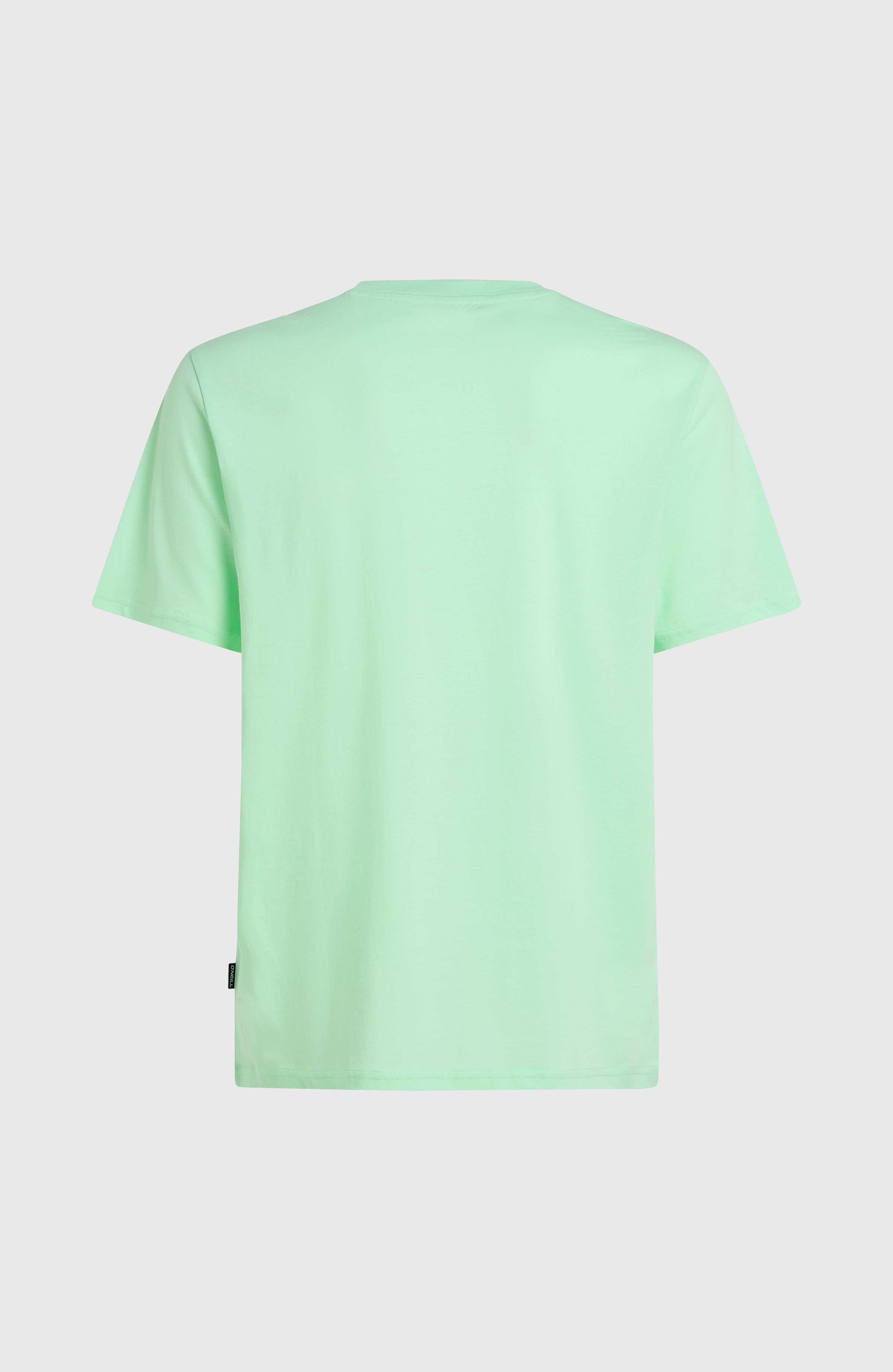Jack O'Neill Muir T-Shirt Men - Mildrew Mint