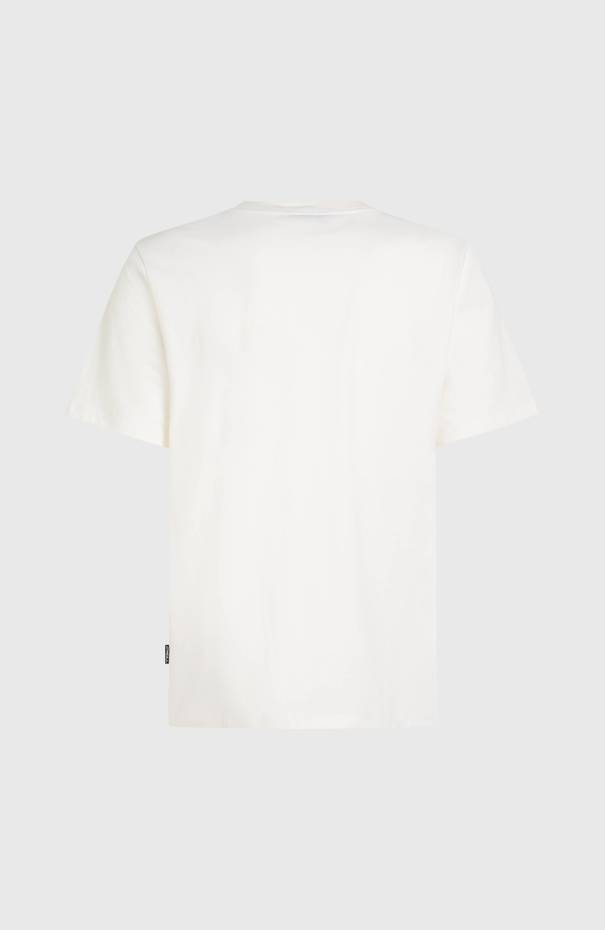 Gradient T-Shirt Men - Snow White 2