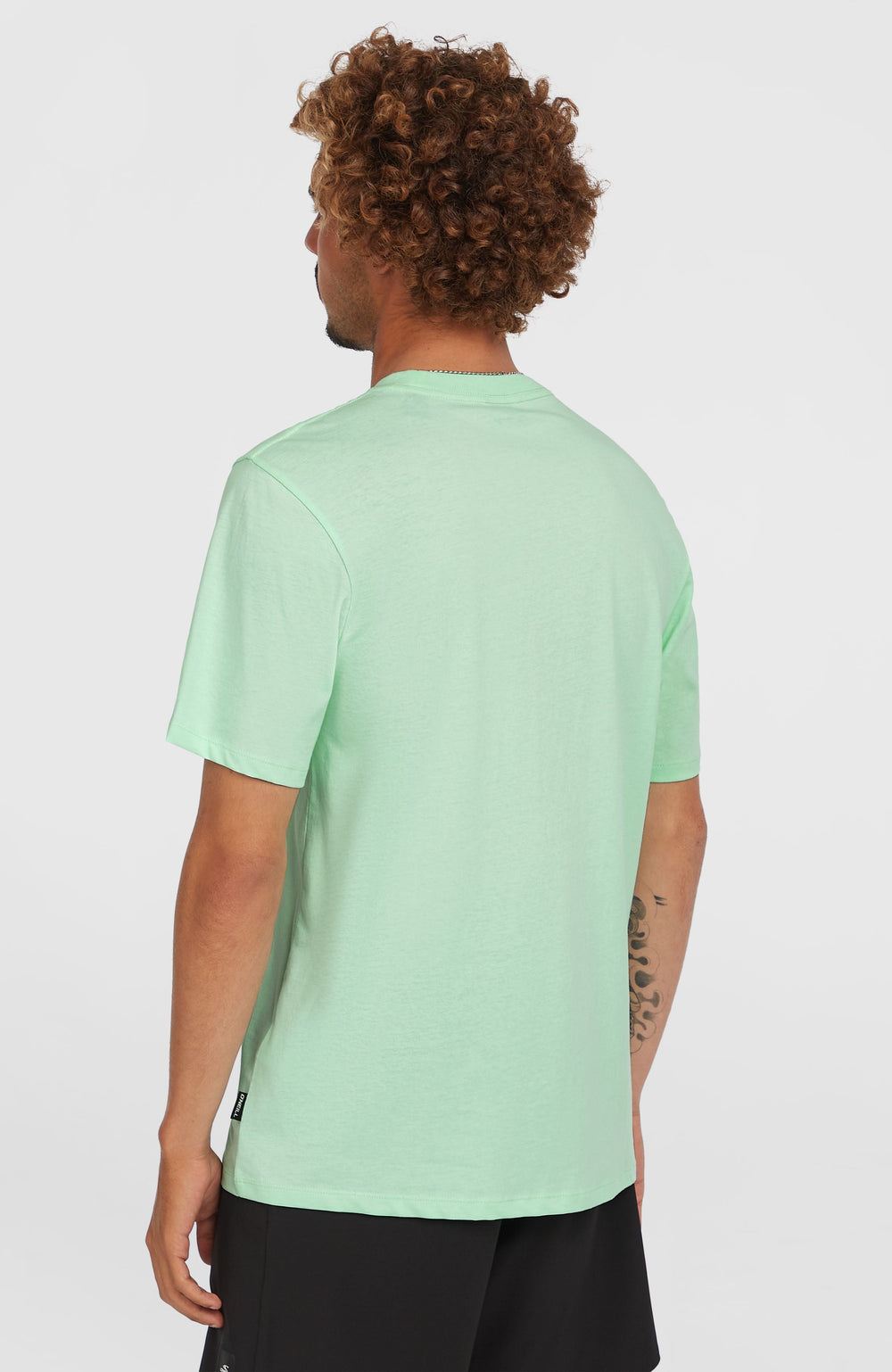 Stripe T-Shirt Men - Mildrew Mint