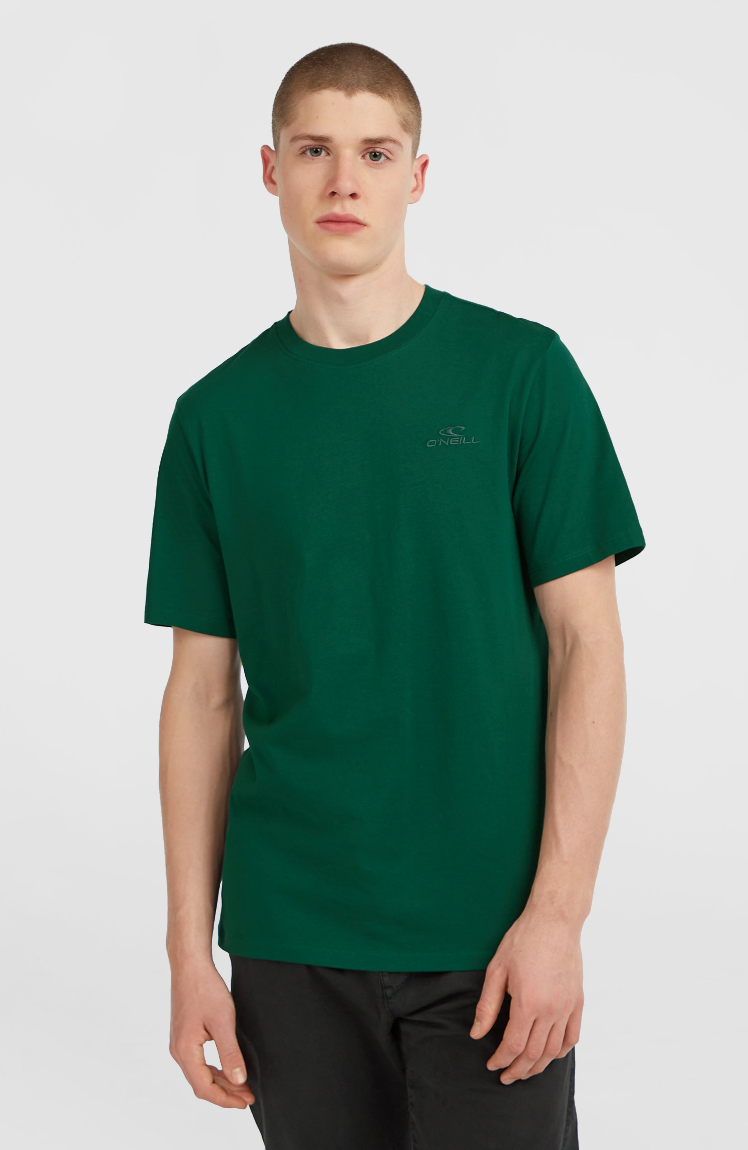 Small Logo T-Shirt Men - Emerald Envy