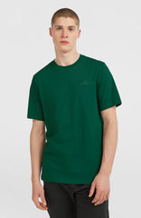 Small Logo T-Shirt Men - Emerald Envy