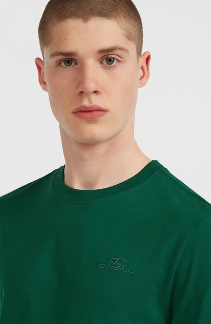 Small Logo T-Shirt Men - Emerald Envy