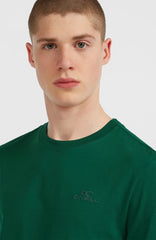 Small Logo T-Shirt Men - Emerald Envy