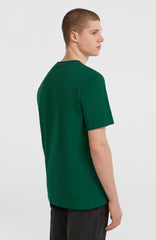 Small Logo T-Shirt Men - Emerald Envy