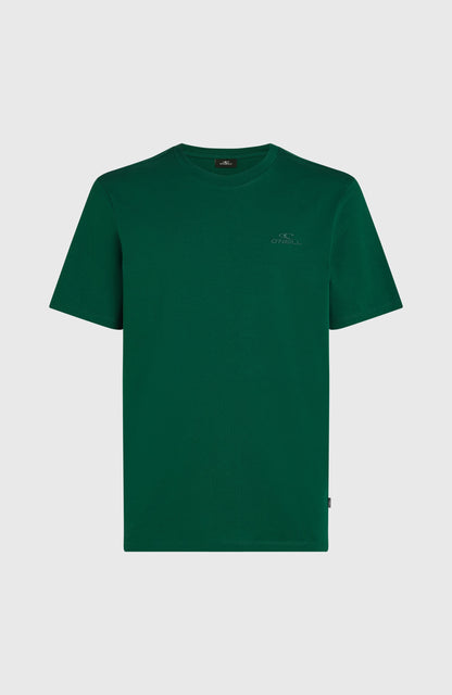 Small Logo T-Shirt Men - Emerald Envy