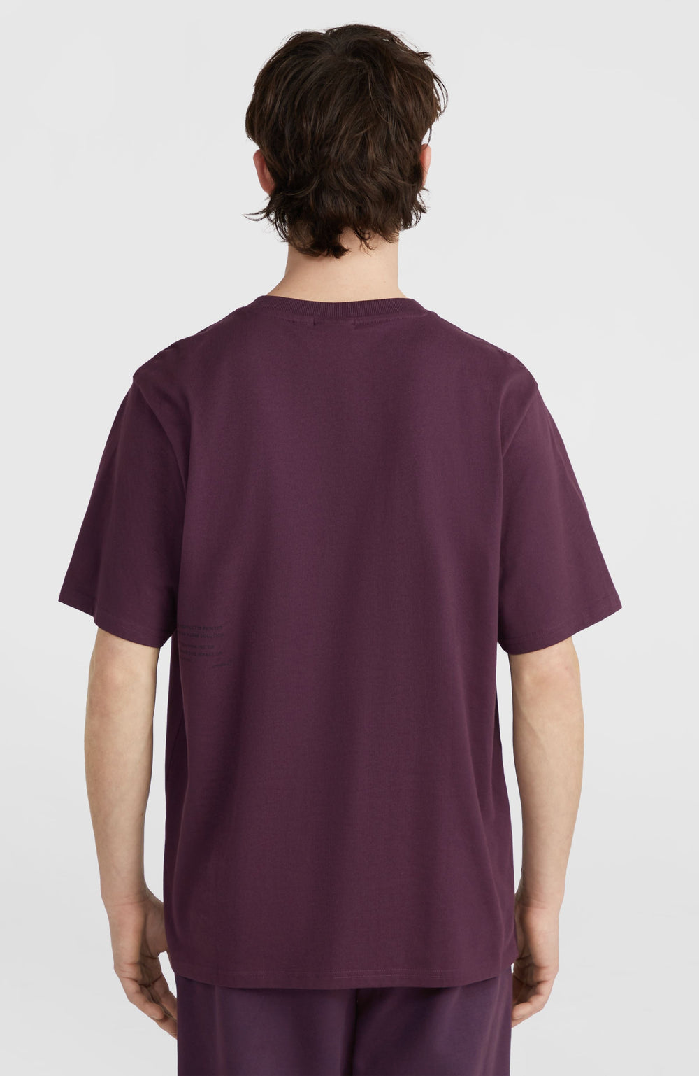 Future Surf Society T-Shirt Men - Aubergine