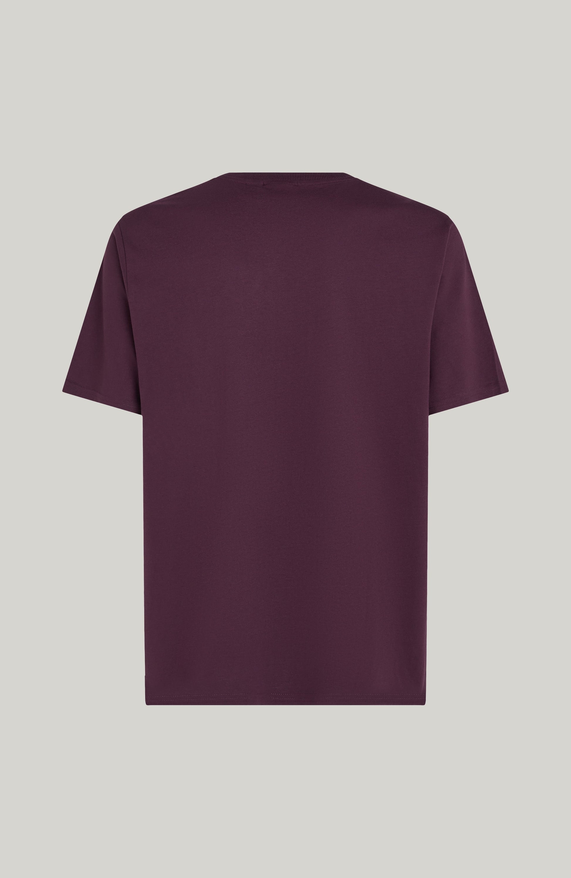 Future Surf Society T-Shirt Men - Aubergine
