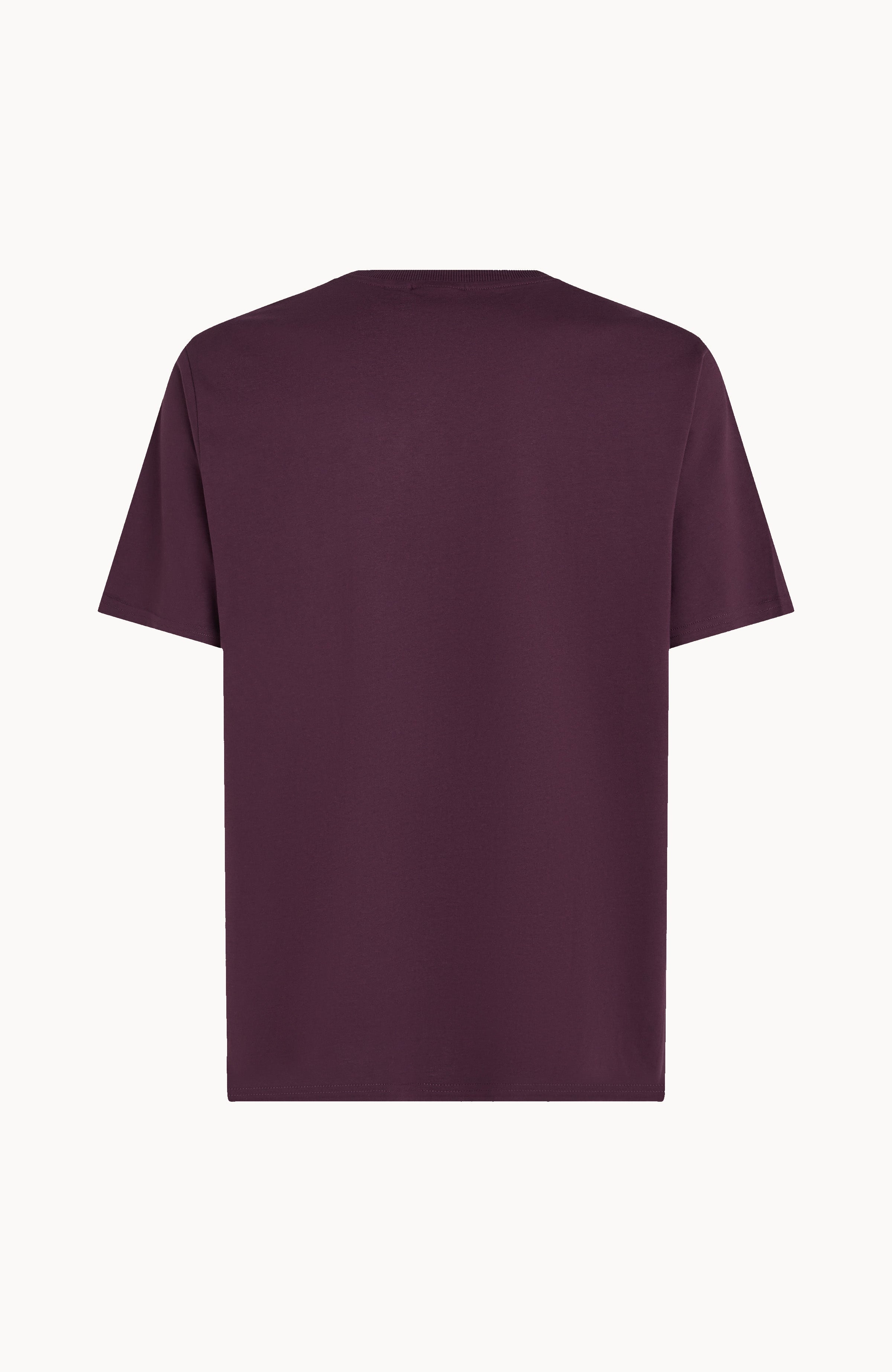 Future Surf Society T-Shirt Men - Aubergine