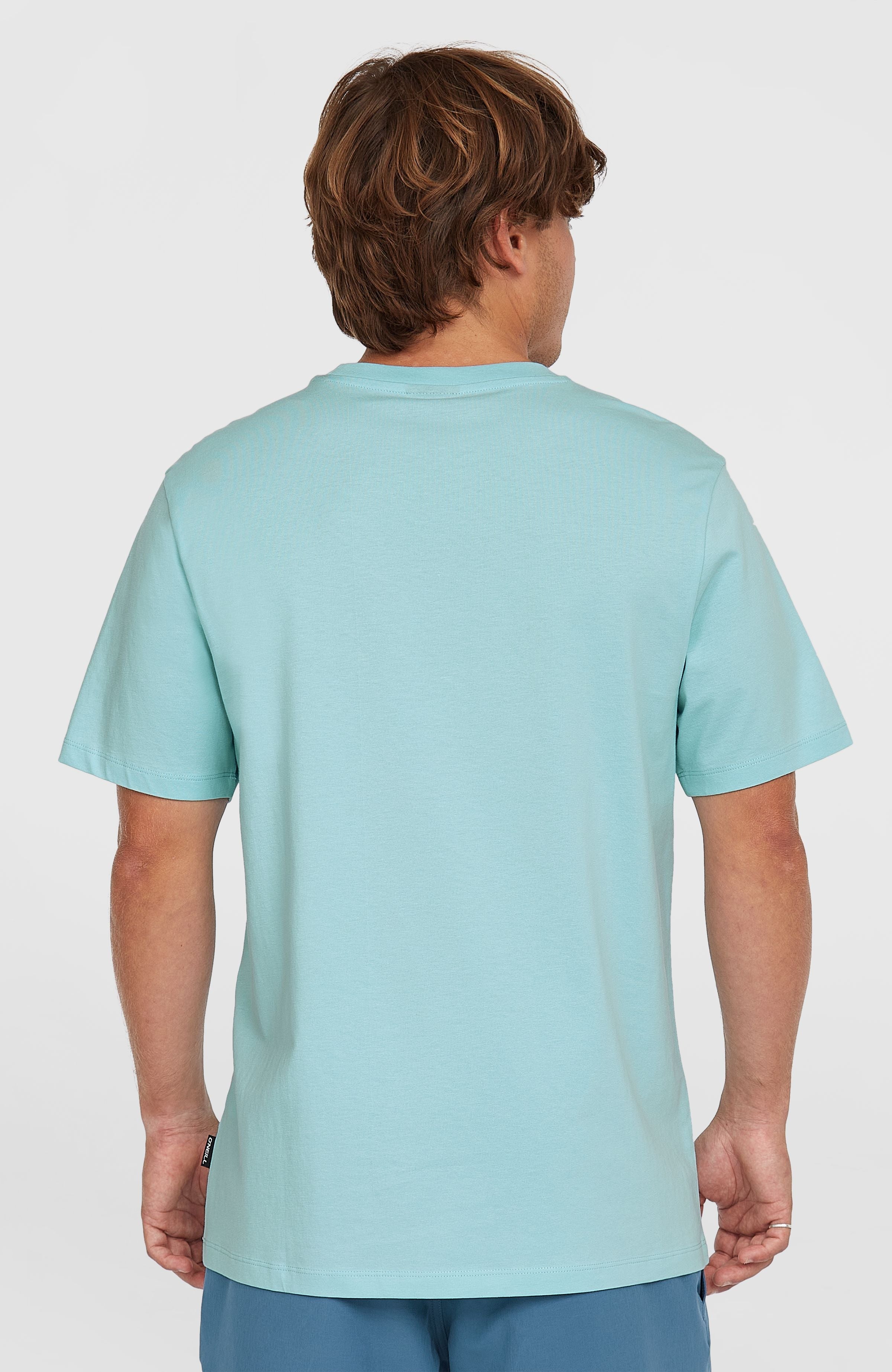 Small Logo T-Shirt Men - Morning Glory