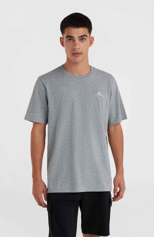 O'Neill Small Logo T-Shirt Men - Silver Melee