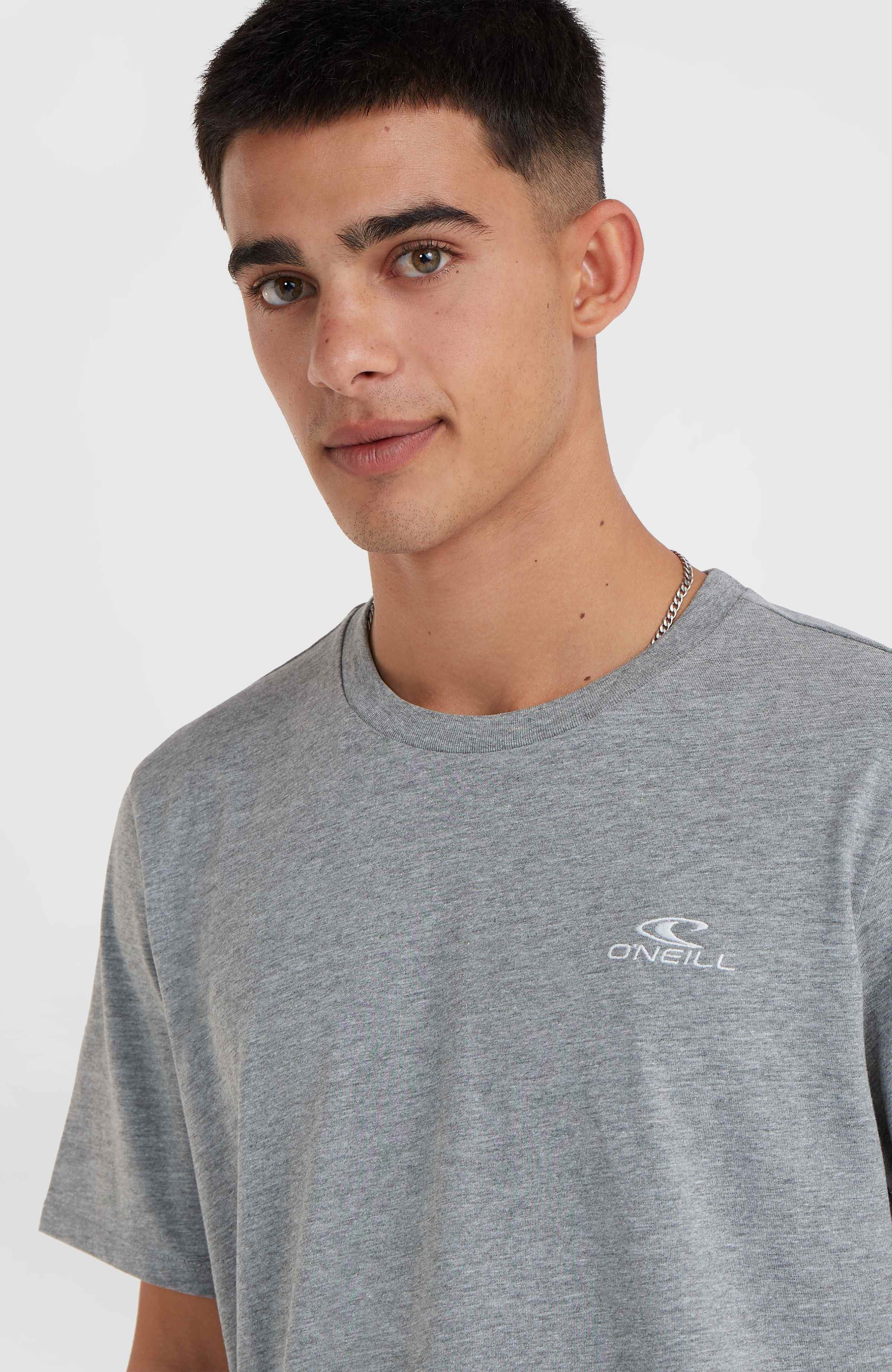O'Neill Small Logo T-Shirt Men - Silver Melee