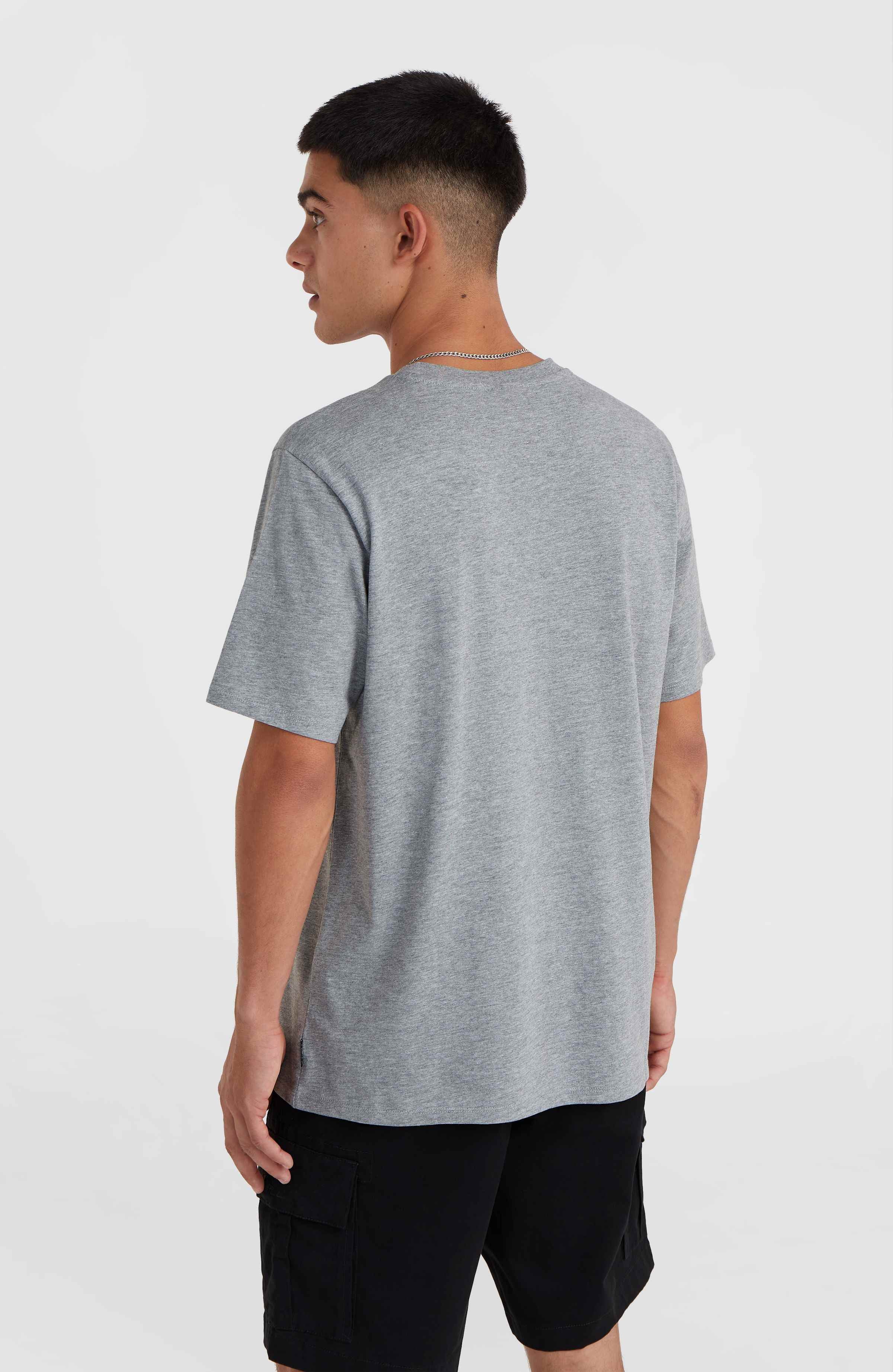 O'Neill Small Logo T-Shirt Men - Silver Melee