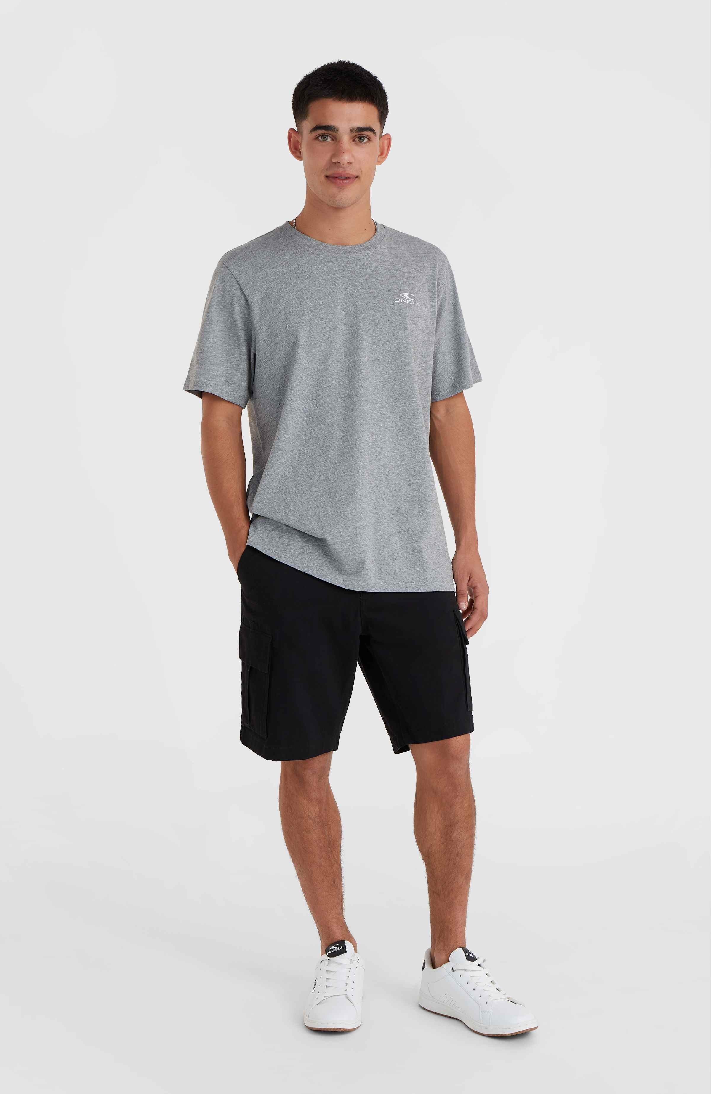 O'Neill Small Logo T-Shirt Men - Silver Melee
