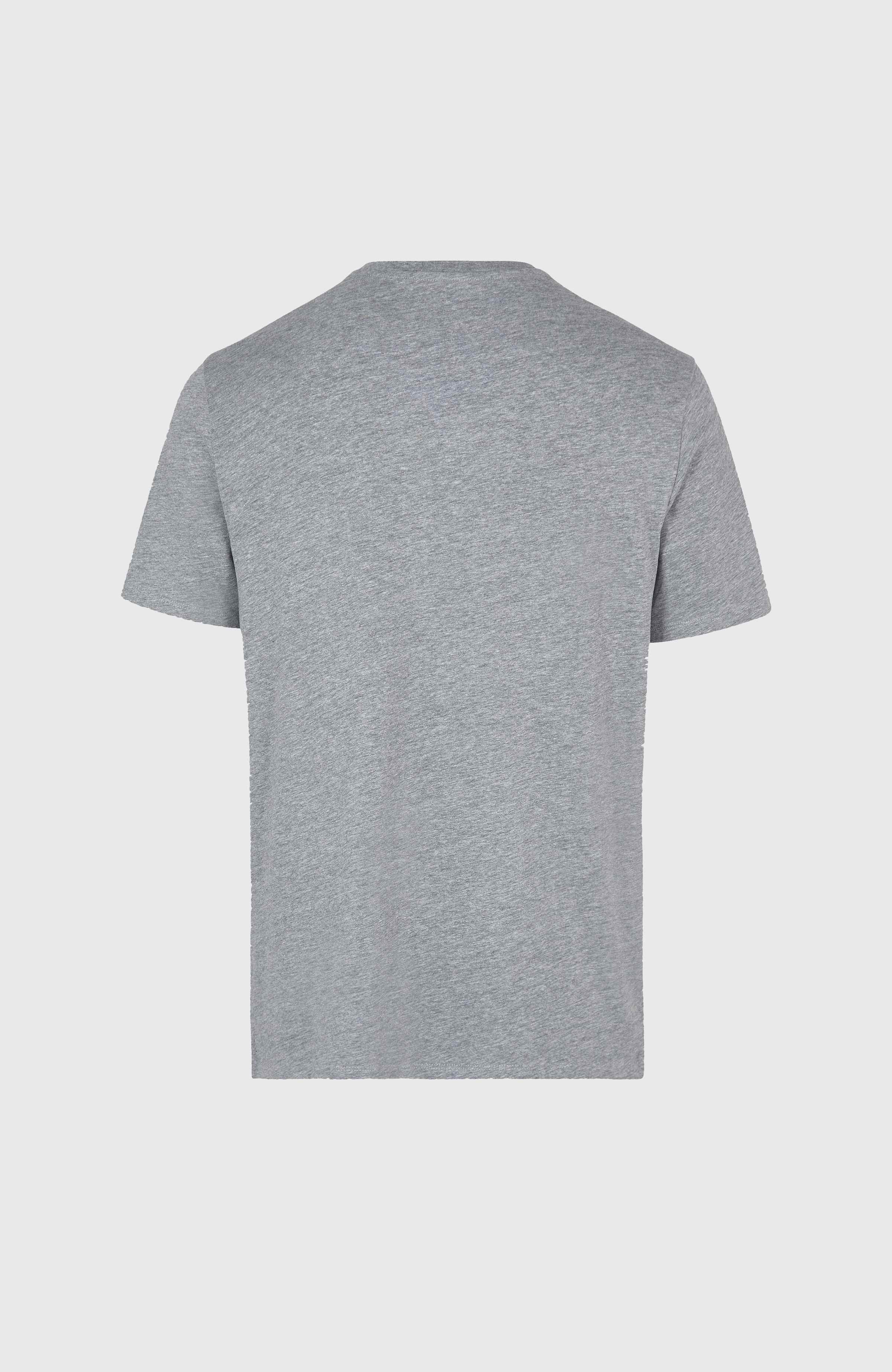 O'Neill Small Logo T-Shirt Men - Silver Melee