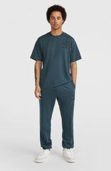 Future Surf Society T-Shirt Men - Alma Steel