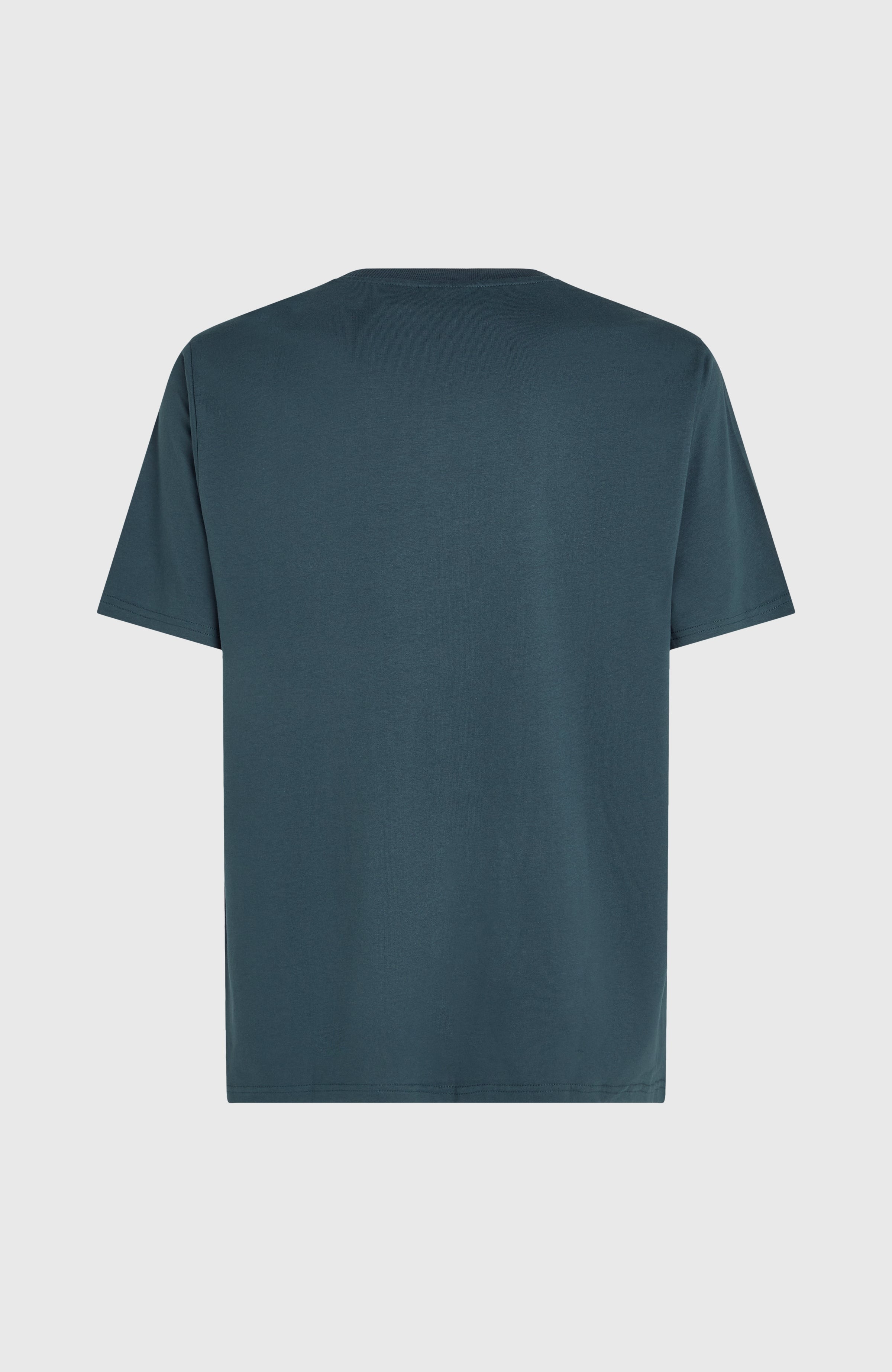 Future Surf Society T-Shirt Men - Alma Steel