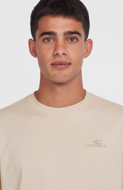 Small Logo T-Shirt Men - Atmosphere
