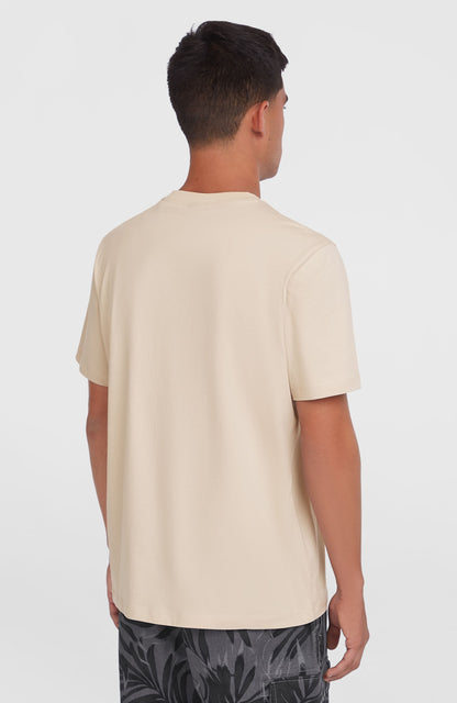 Small Logo T-Shirt Men - Atmosphere