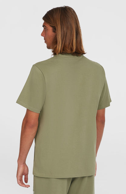 Future Surf Society T-Shirt Men - Avery Fern