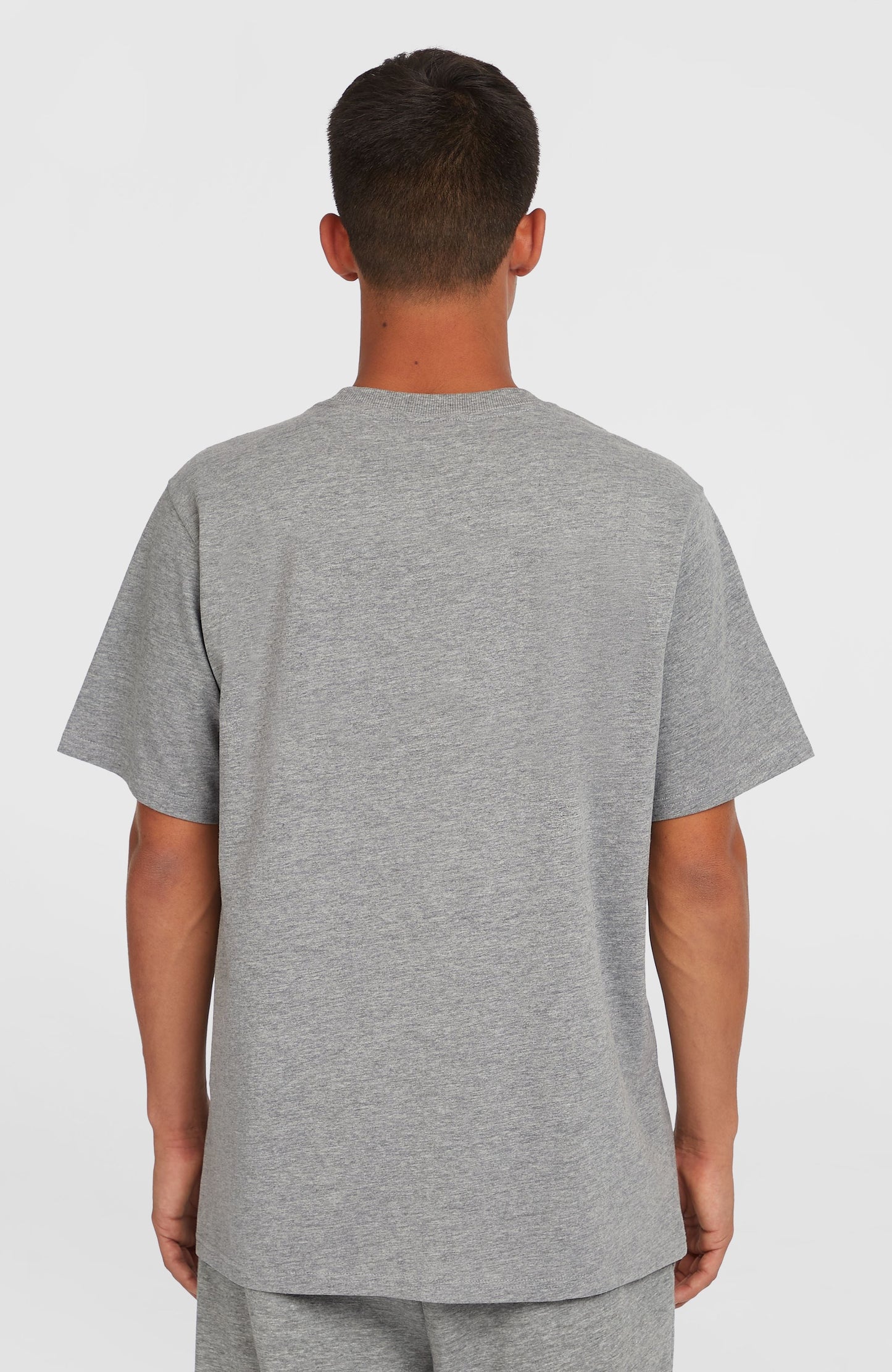 Future Surf Society T-Shirt Men - Silver Melee